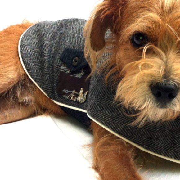 Sherlock Bones dog jacket